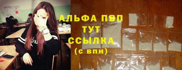 гашик Бородино