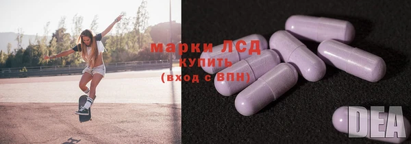 гашик Бородино