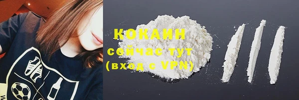 гашик Бородино
