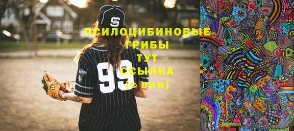 гашик Бородино