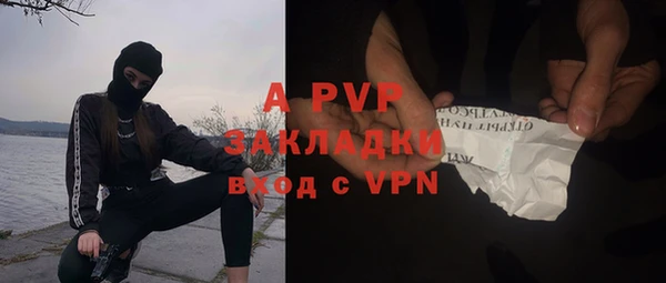 сатива Верхний Тагил