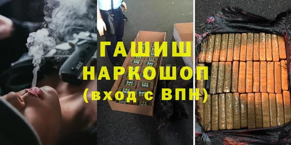 гашик Бородино