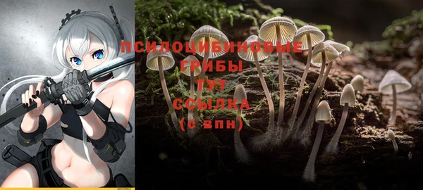 МДПВ Бронницы
