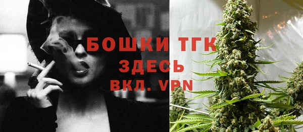 МДПВ Бронницы